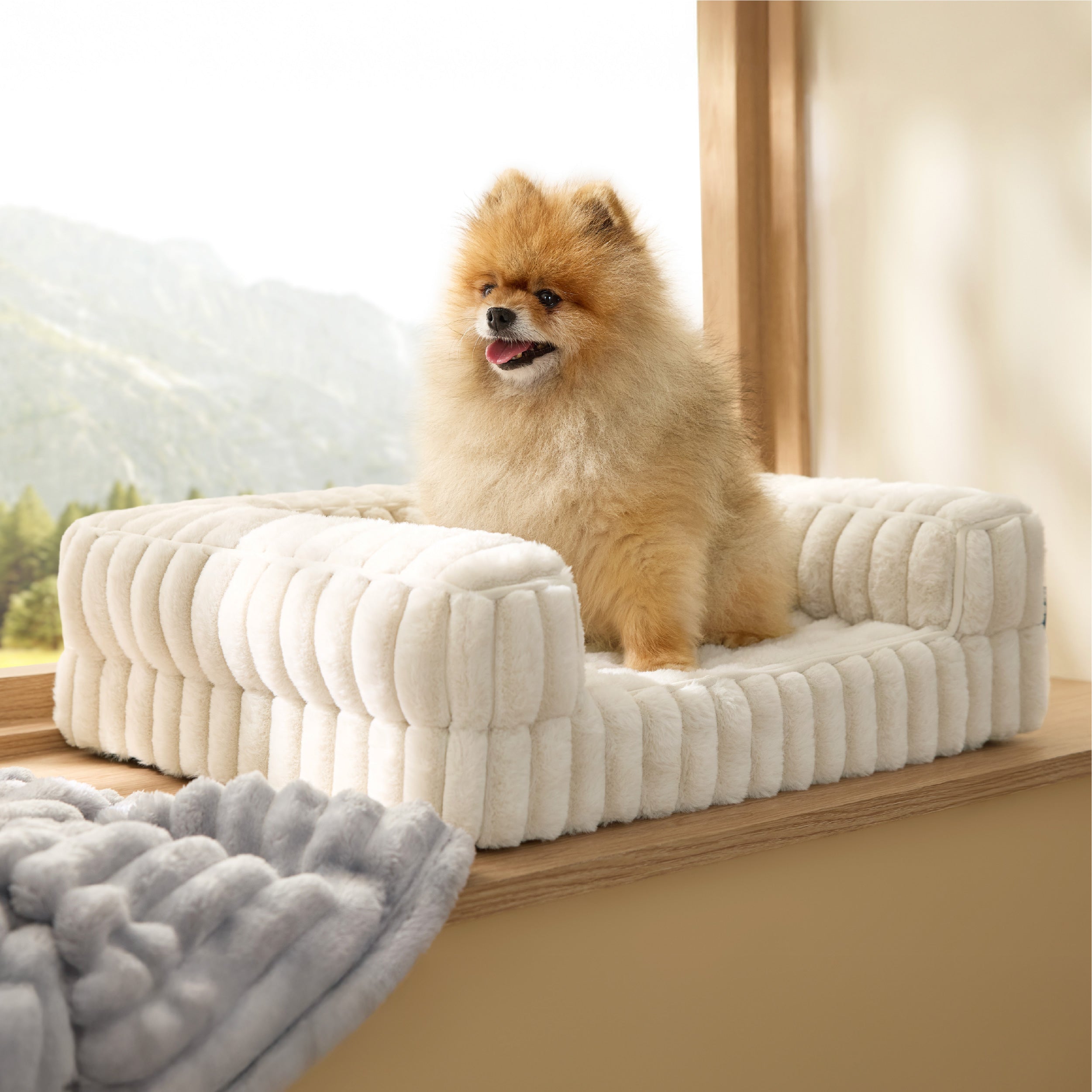 Cozy Haven | Orthopedic Dog Sofa Bed with Dual-Foam Support | Pet-Friendly Design for Maximum Comfort 3