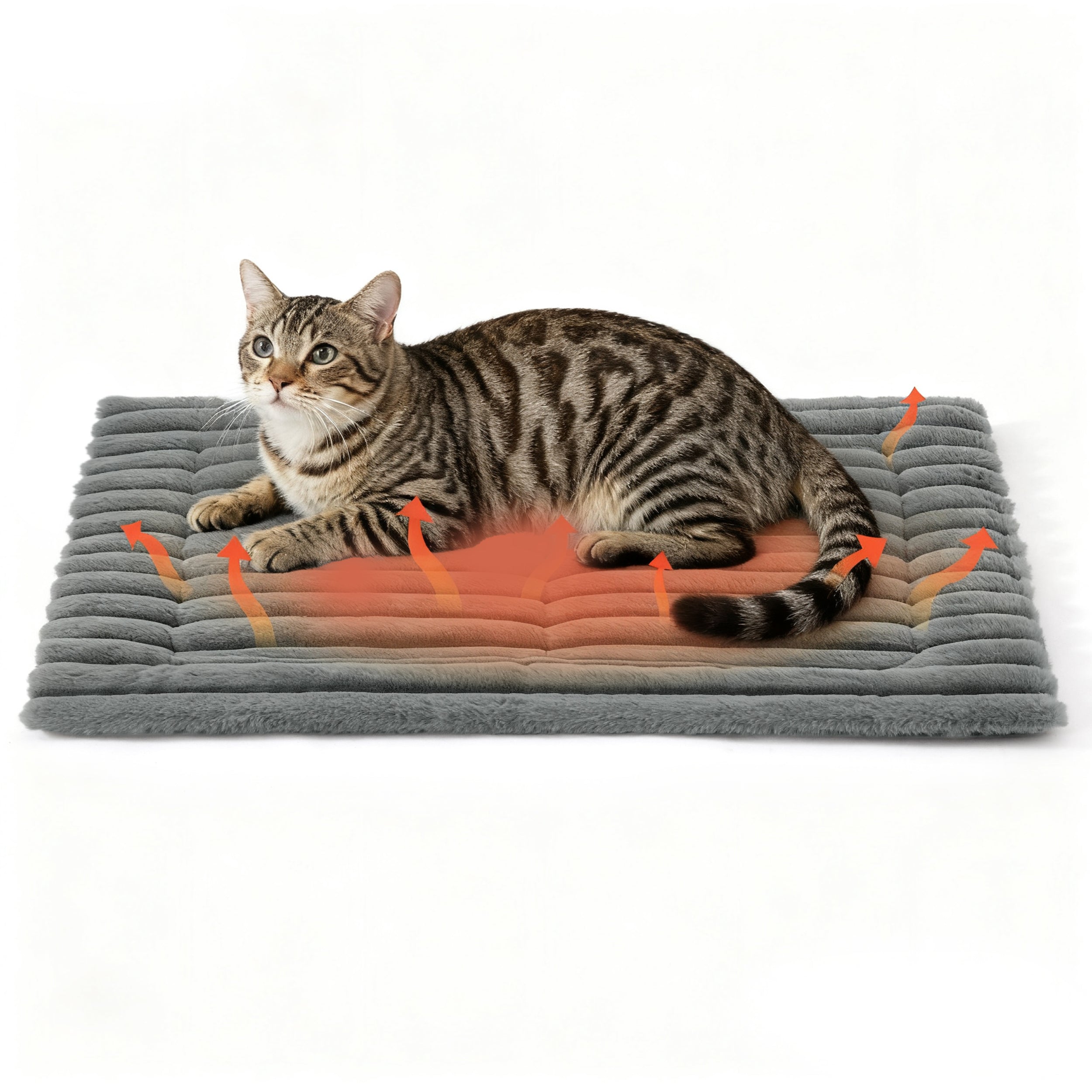 Cozy Haven | Self-Warming Pet Mat with Energy-Saving Technology | Soft Corduroy Fleece for Ultimate Comfort 1