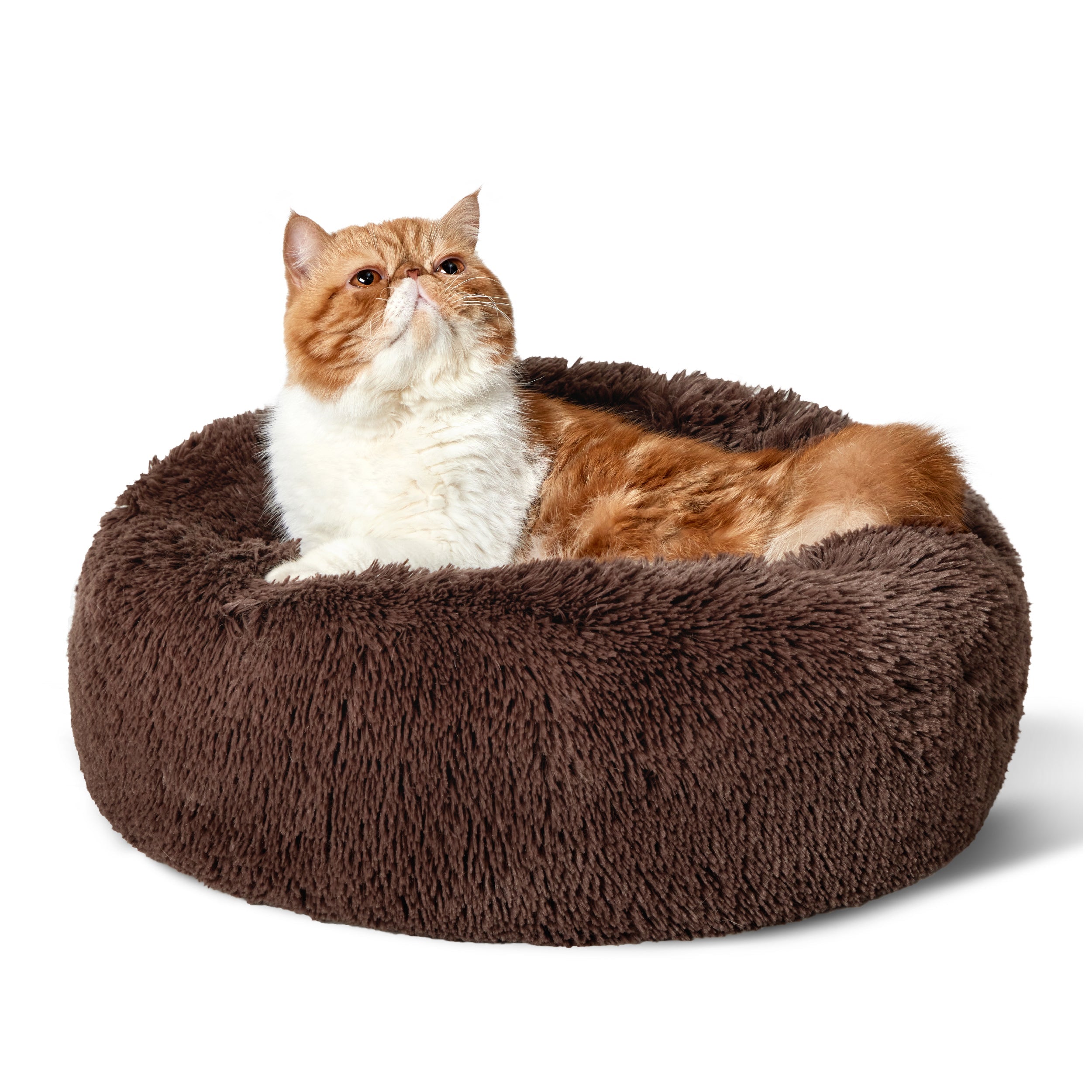 Cozy Nest | Calming Dog Bed with Plush Filling | Secure Space for Restful Sleep 15