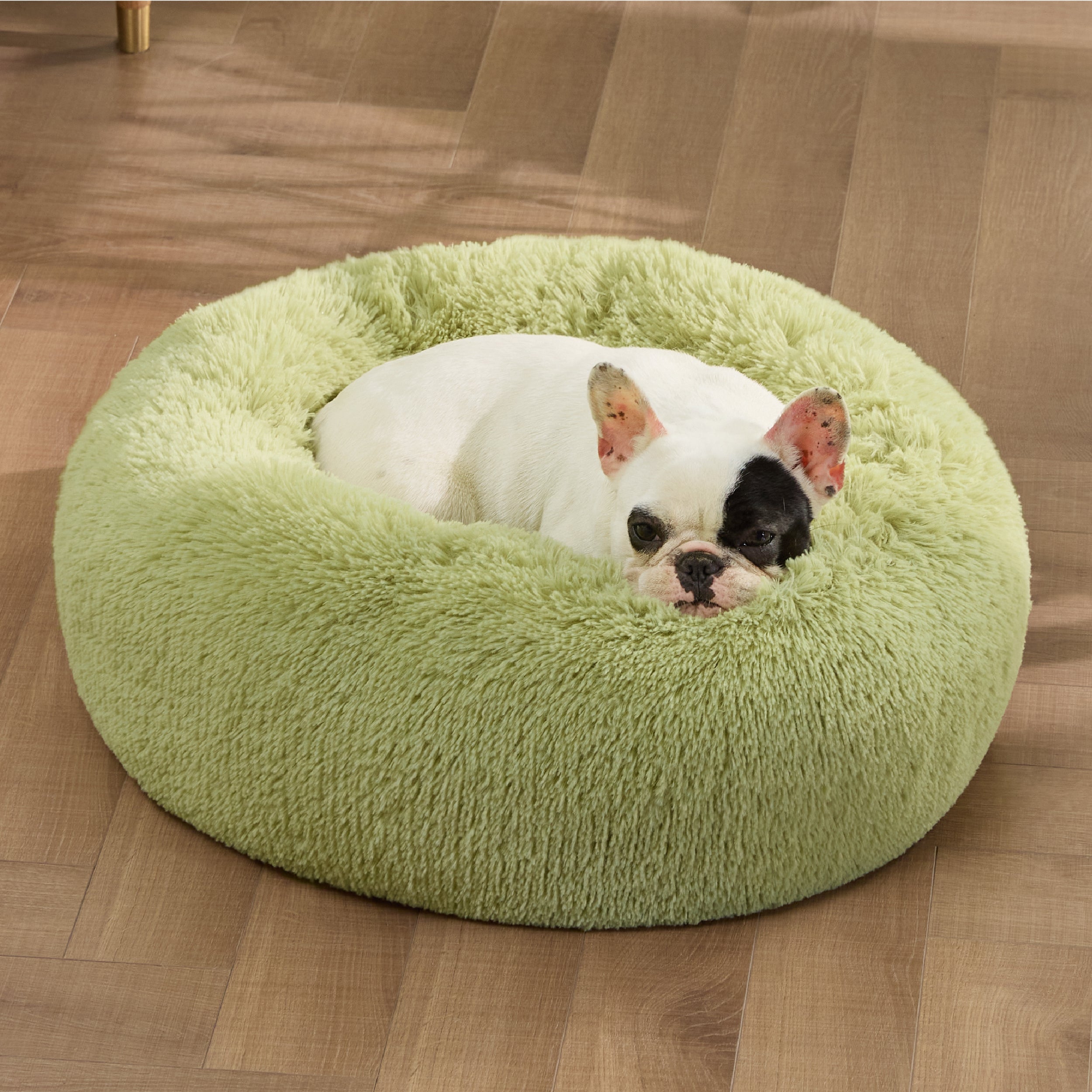 Cozy Nest | Calming Dog Bed with Plush Filling | Secure Space for Restful Sleep 3