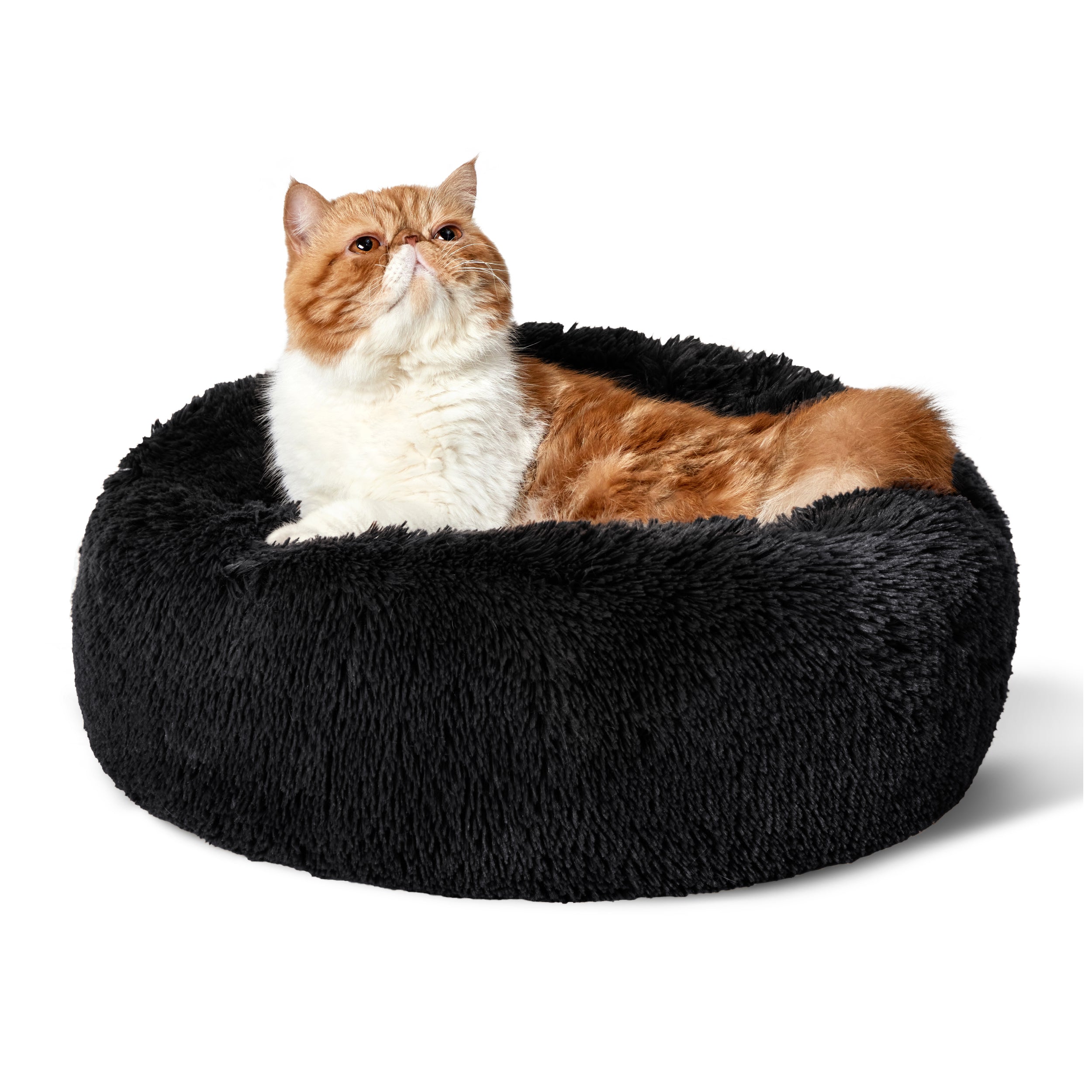 Cozy Nest | Calming Dog Bed with Plush Filling | Secure Space for Restful Sleep 9