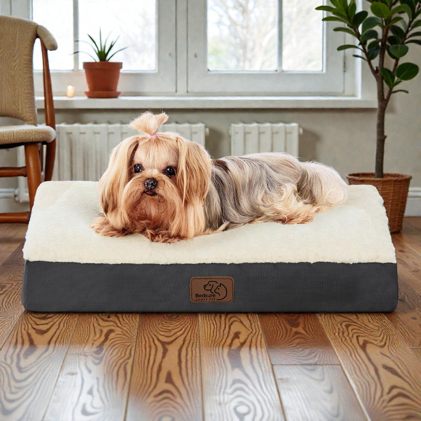 Comfort Haven | Large Orthopedic Dog Bed with Egg-Crate Foam | Removable Washable Cover for Joint Relief