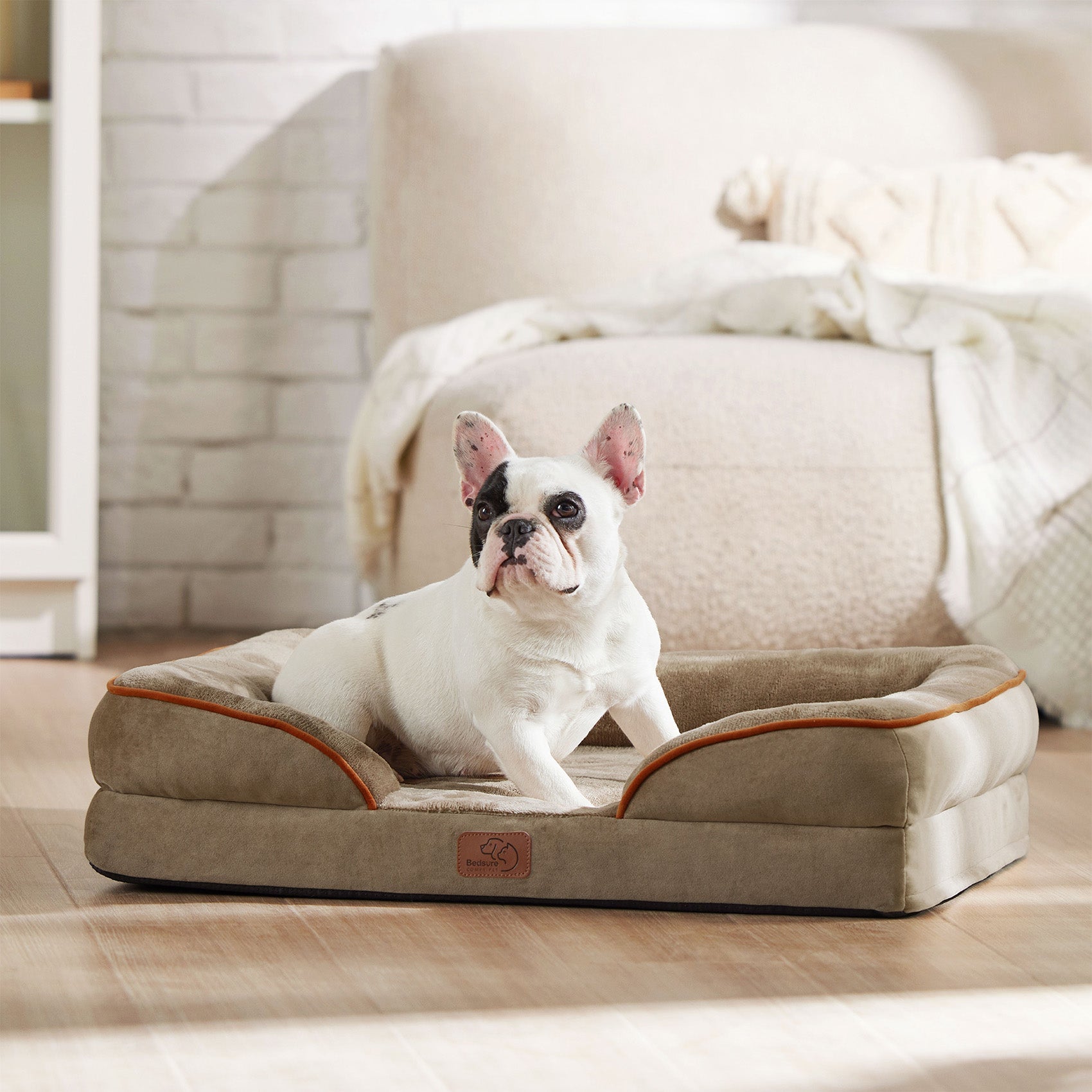 Comfort Haven | Orthopedic Dog Sofa Bed with High-Density Foam | Cozy Design for Restful Sleep 8