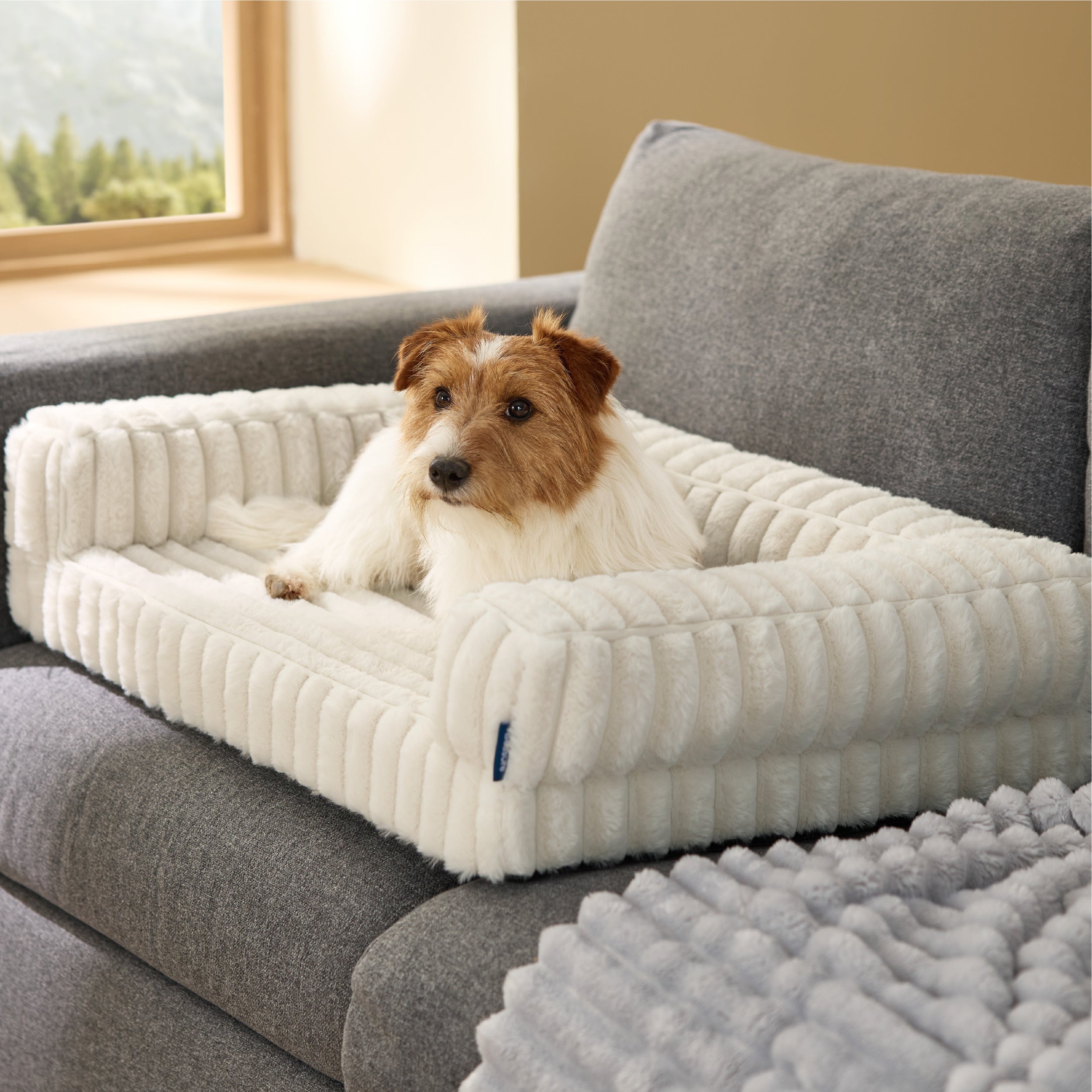 Cozy Haven | Orthopedic Dog Sofa Bed with Dual-Foam Support | Pet-Friendly Design for Maximum Comfort 6