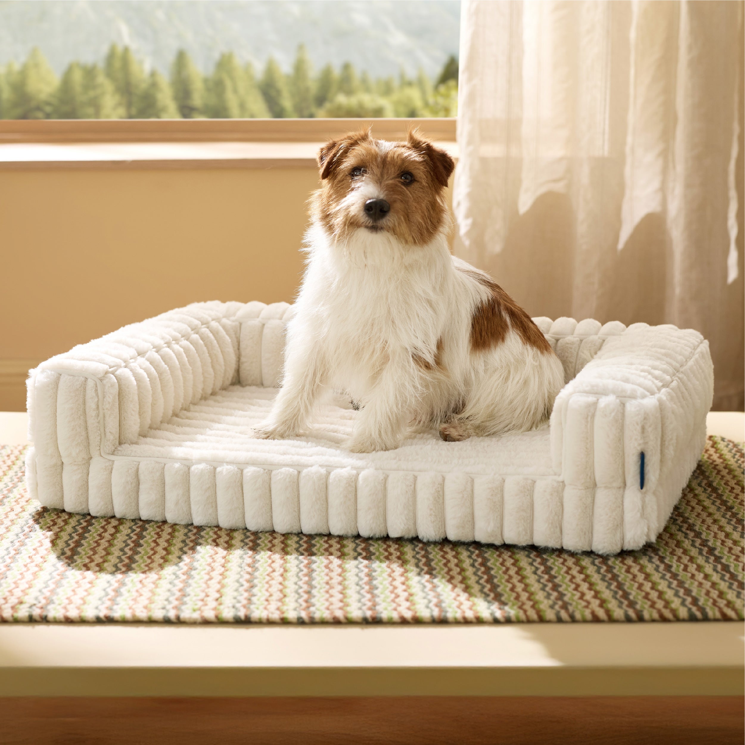 Cozy Haven | Orthopedic Dog Sofa Bed with Dual-Foam Support | Pet-Friendly Design for Maximum Comfort 7