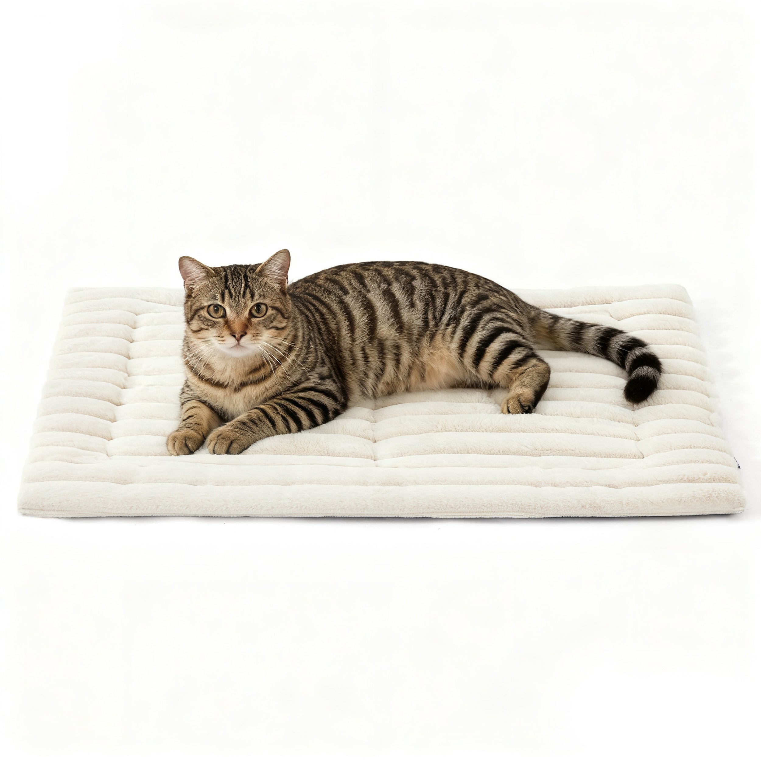 Cozy Haven | Self-Warming Pet Mat with Energy-Saving Technology | Soft Corduroy Fleece for Ultimate Comfort 8