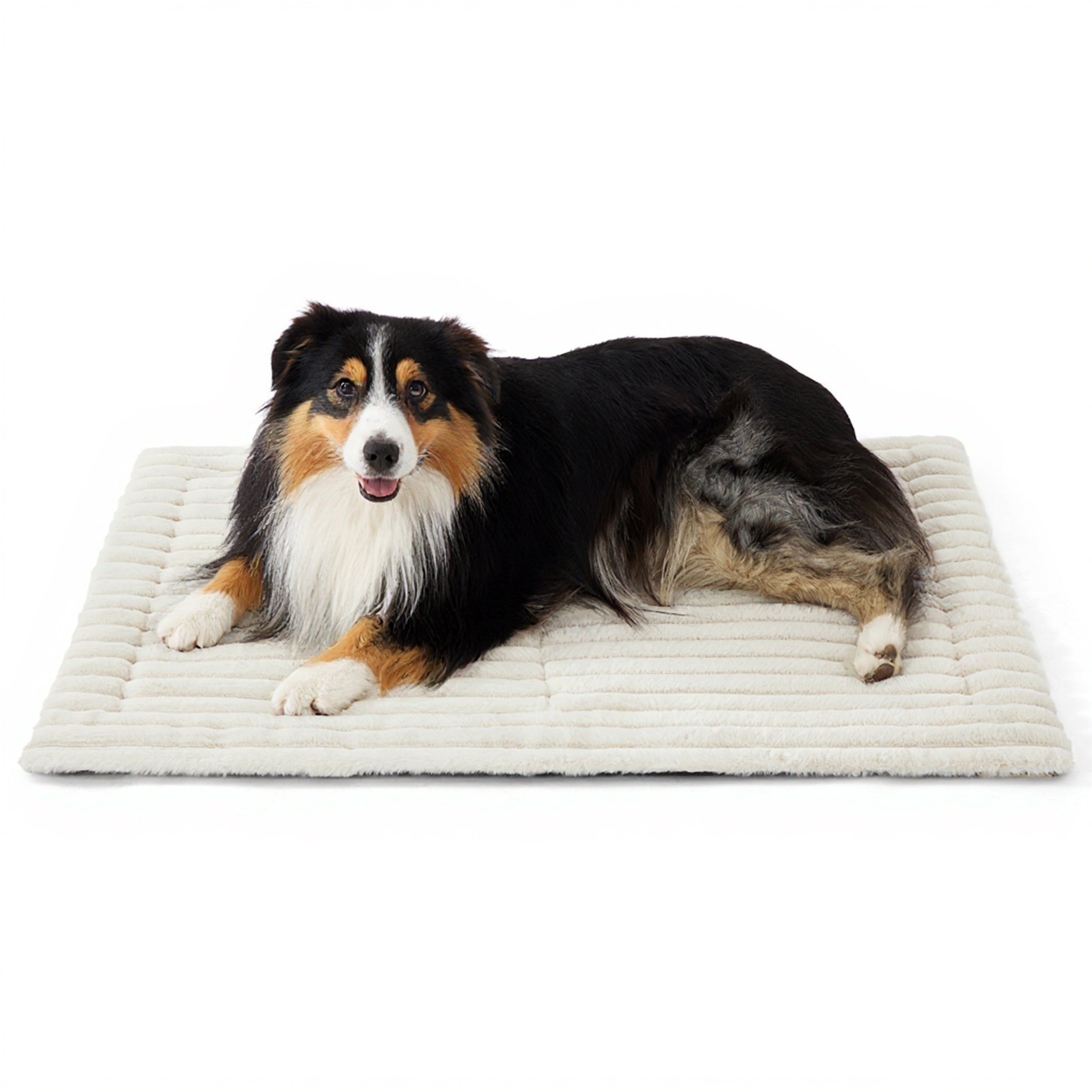 Cozy Haven | Self-Warming Pet Mat with Energy-Saving Technology | Soft Corduroy Fleece for Ultimate Comfort 9